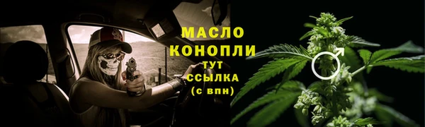 индика Бронницы